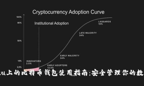 Ubuntu上的比特币钱包使用指南：安全管理你的数字资产