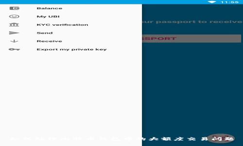 如何处理比特币钱包中的大额度交易问题