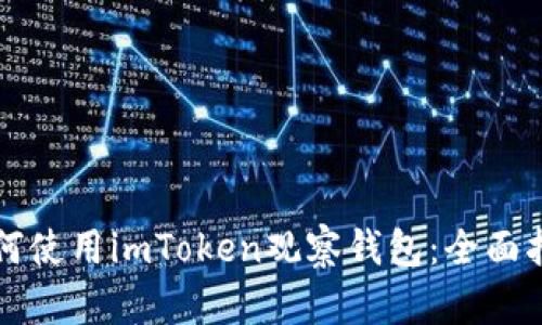 如何使用imToken观察钱包：全面指南