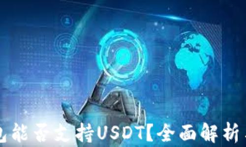 
比特币钱包能否支持USDT？全面解析与使用指南