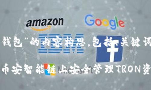 下面是关于“TRX跨链BSC钱包”的内容构思，包括、关键词、内容大纲以及相关问题。

TRX跨链BSC钱包：如何在币安智能链上安全管理TRON资产
