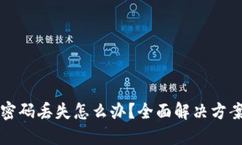 比特币钱包密码丢失怎么办？全面解决方案与实用技巧