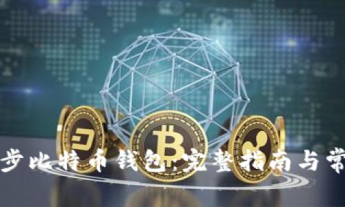 如何高效同步比特币钱包：完整指南与常见问题解答